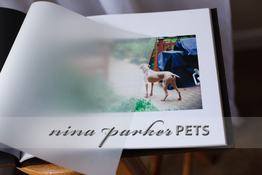 DogBooks_03_NinaParkerPets