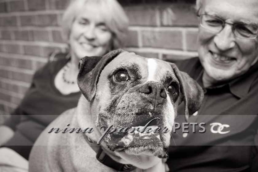 Atlanta-Pet-Dog-Photographer-Nina-Parker-PhotographyIMG_0325