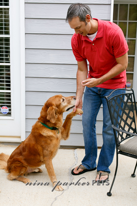 Golden_Retriever_Atlanta_NinaParker_PETS_IMG_0229