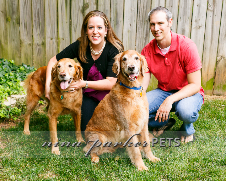 Golden_Retriever_Atlanta_NinaParker_PETS_IMG_0247