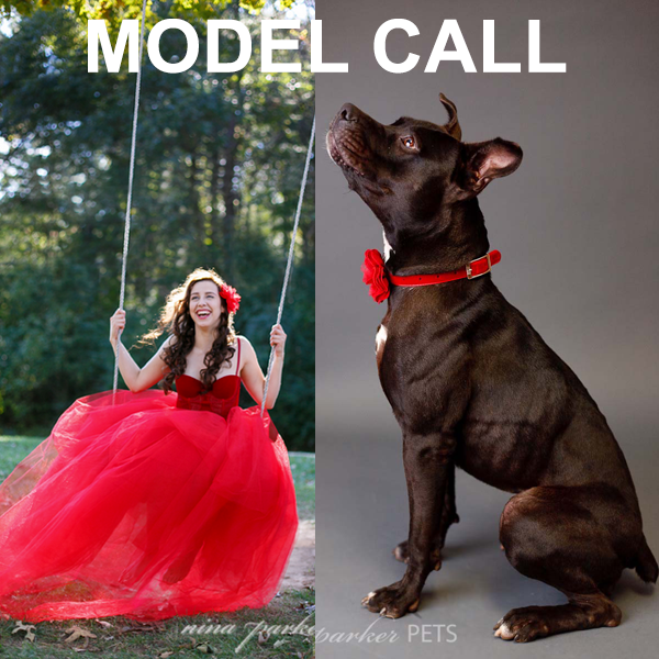 Glamour Pet Model Call Nina Parker