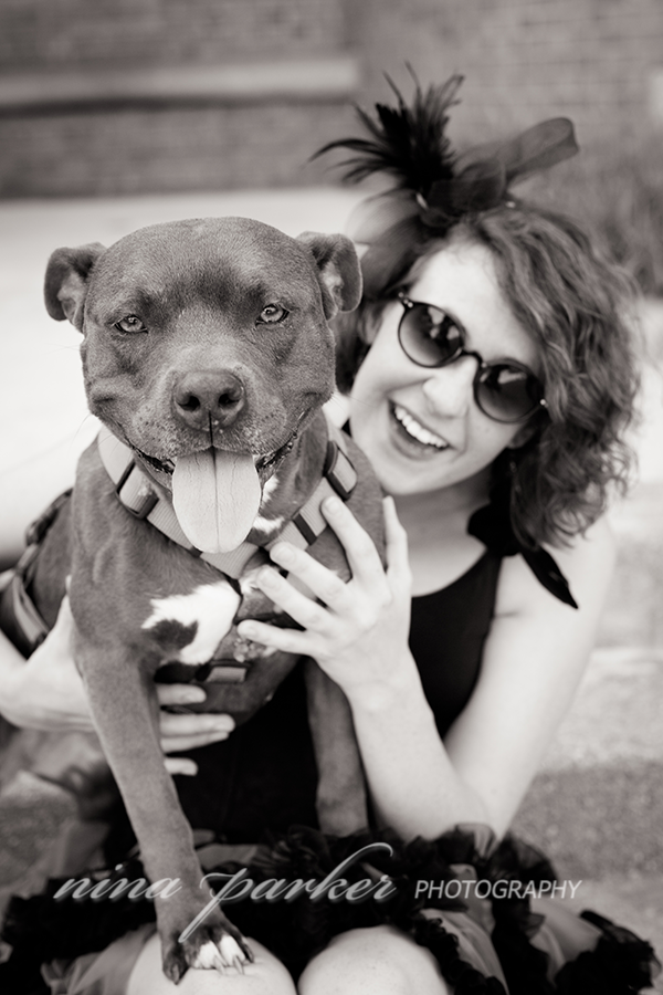 Pitbull-Glamour-DogPortrait-NinaParkerPets0210