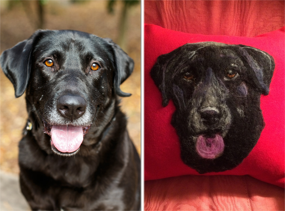 BlackLab-Portrait-Pillow-AtlantaPhotographerNinaParker