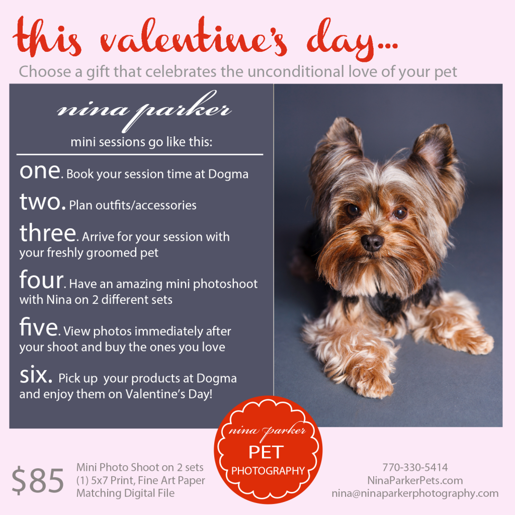 Valentines Day-Pet Minis-Sweet Charm