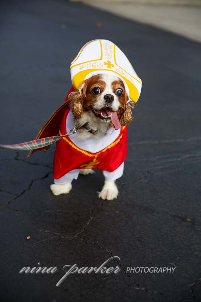 spookywalkwag_2016_atlanta_ninaparkerphotography_8720