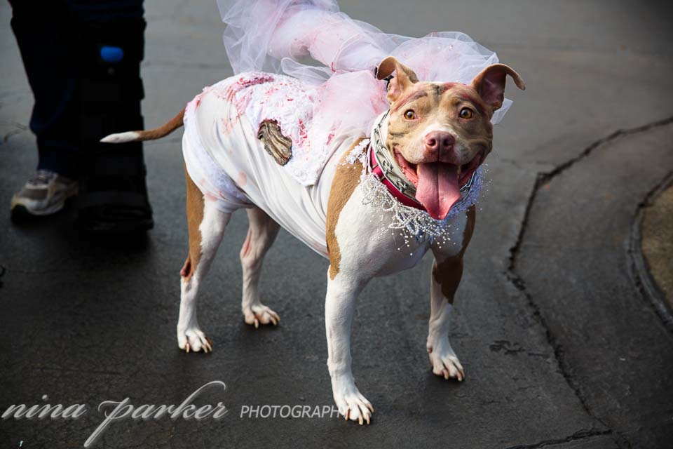 spookywalkwag_2016_atlanta_ninaparkerphotography_8724