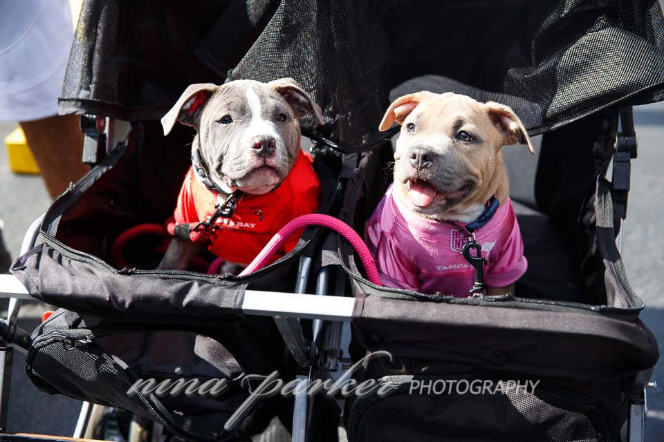 spookywalkwag_2016_atlanta_ninaparkerphotography_8750