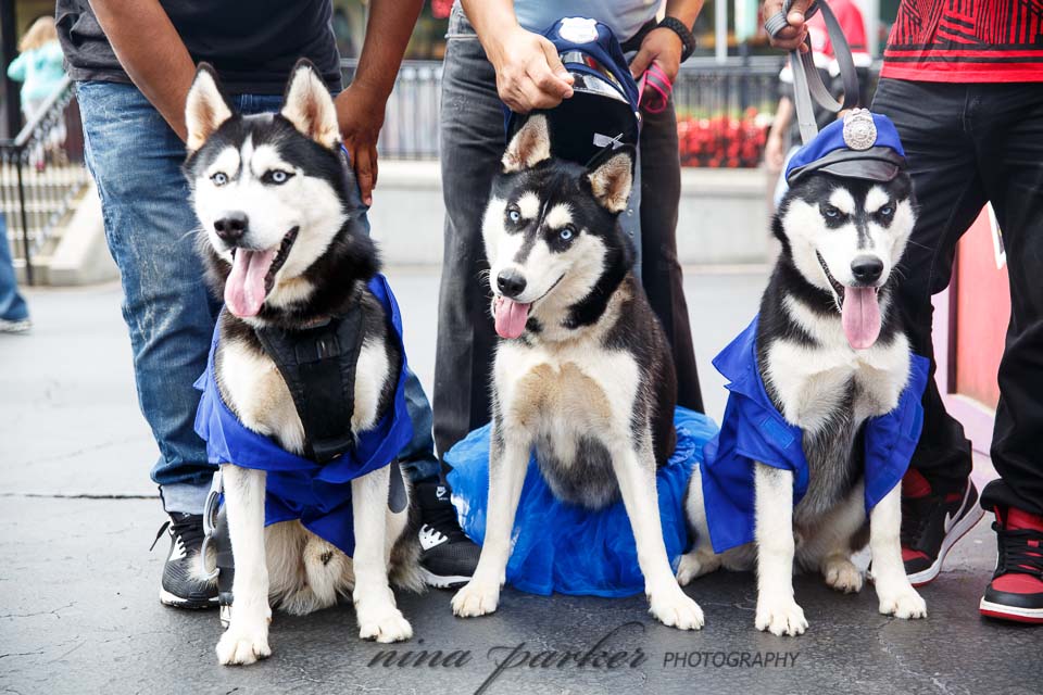 spookywalkwag_2016_atlanta_ninaparkerphotography_8794