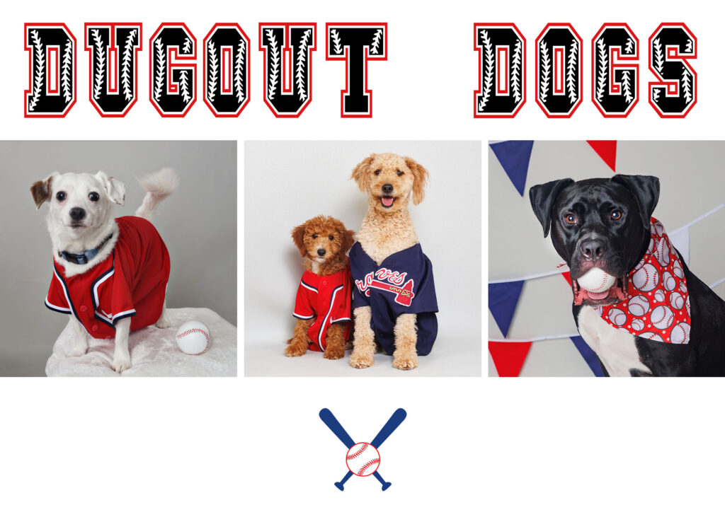 baseball theme photo sessions for dogs, atlanta dog photographer NINA PARKER